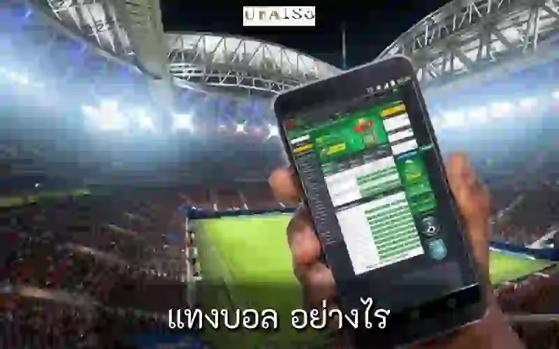 แทงบอล อย่างไร